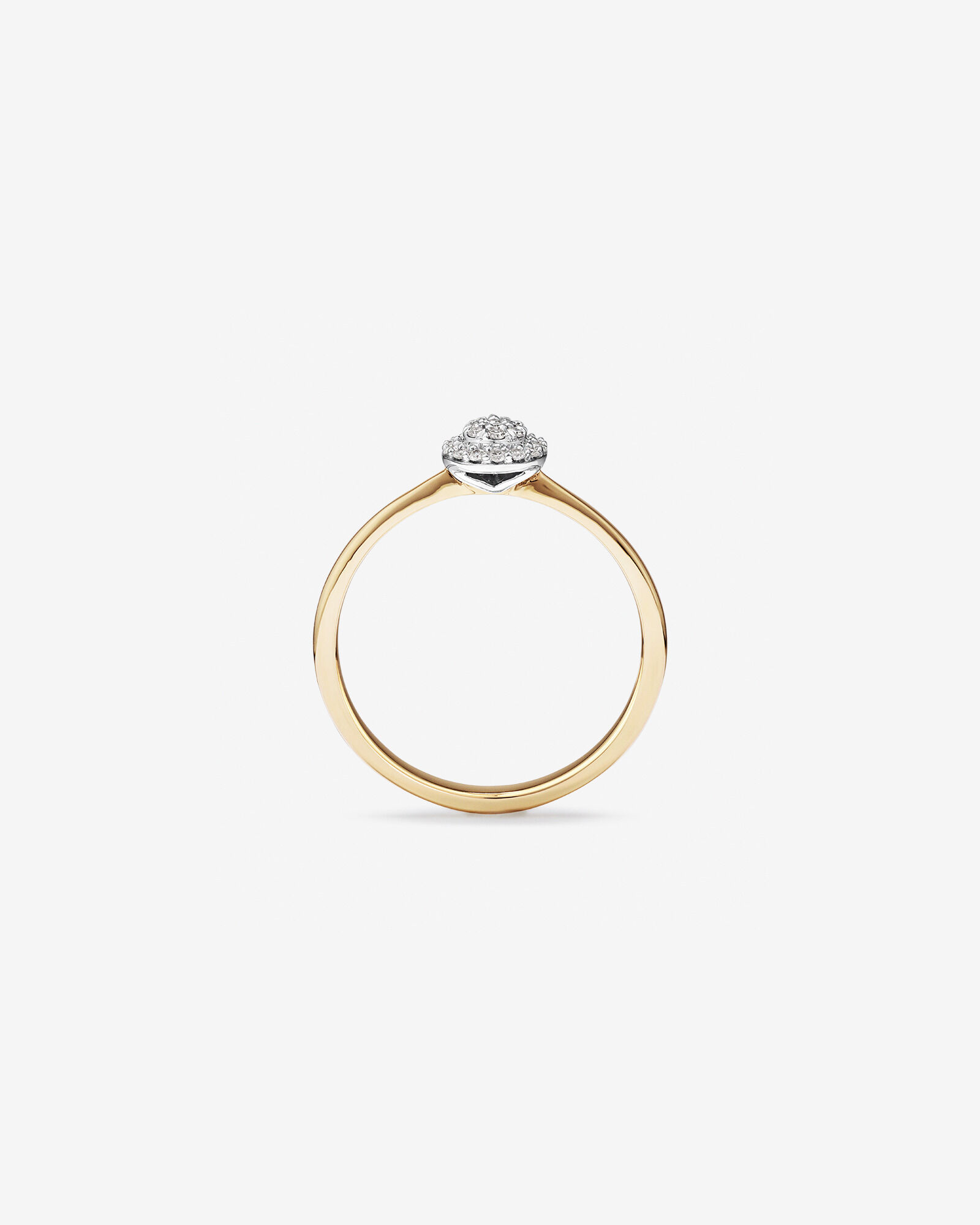 0.10 Carat TW Pear Cluster Diamond Promise Ring in 10kt Yellow and White Gold