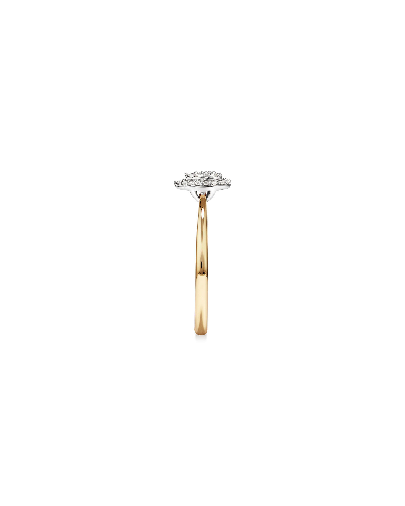 0.10 Carat TW Pear Cluster Diamond Promise Ring in 10kt Yellow and White Gold