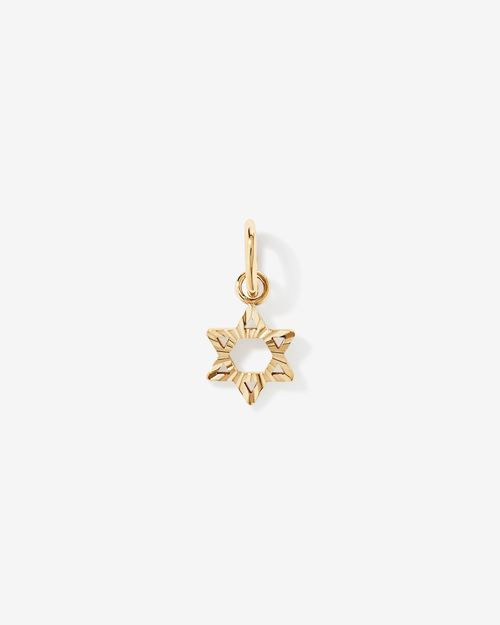 Star of David Pendant in 10kt Yellow Gold