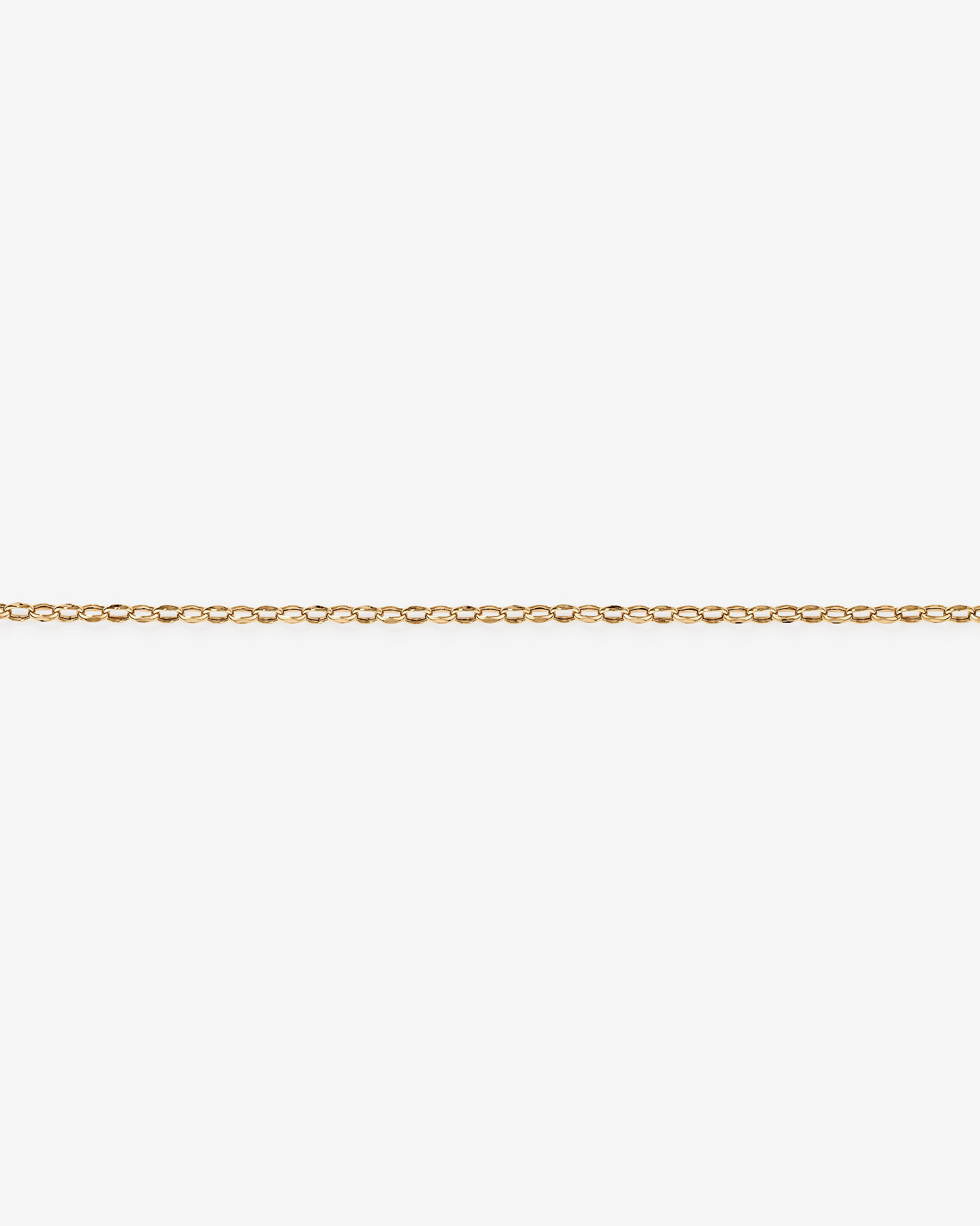 19cm (7.5") Belcher Bracelet in 10kt Yellow Gold