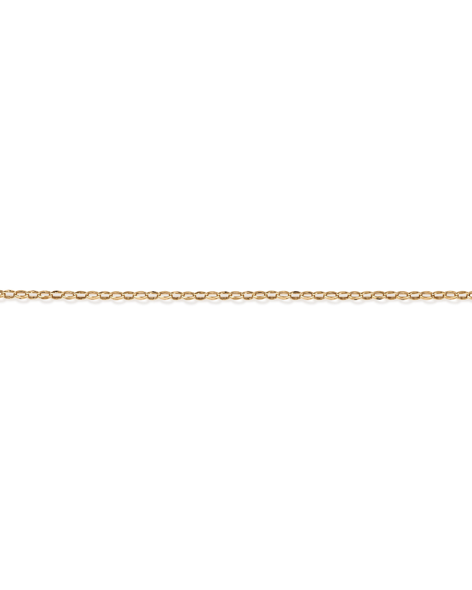19cm (7.5") Belcher Bracelet in 10kt Yellow Gold