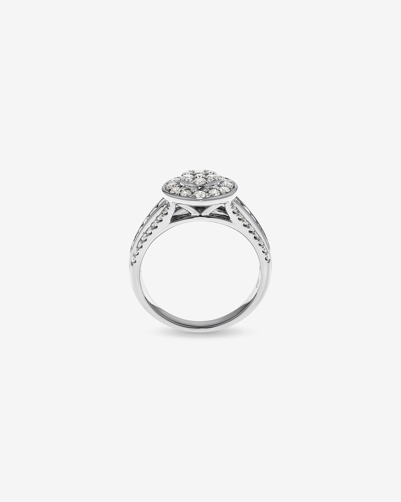 0.85 Carat TW Round Diamond Cluster Ring 10kt Gold