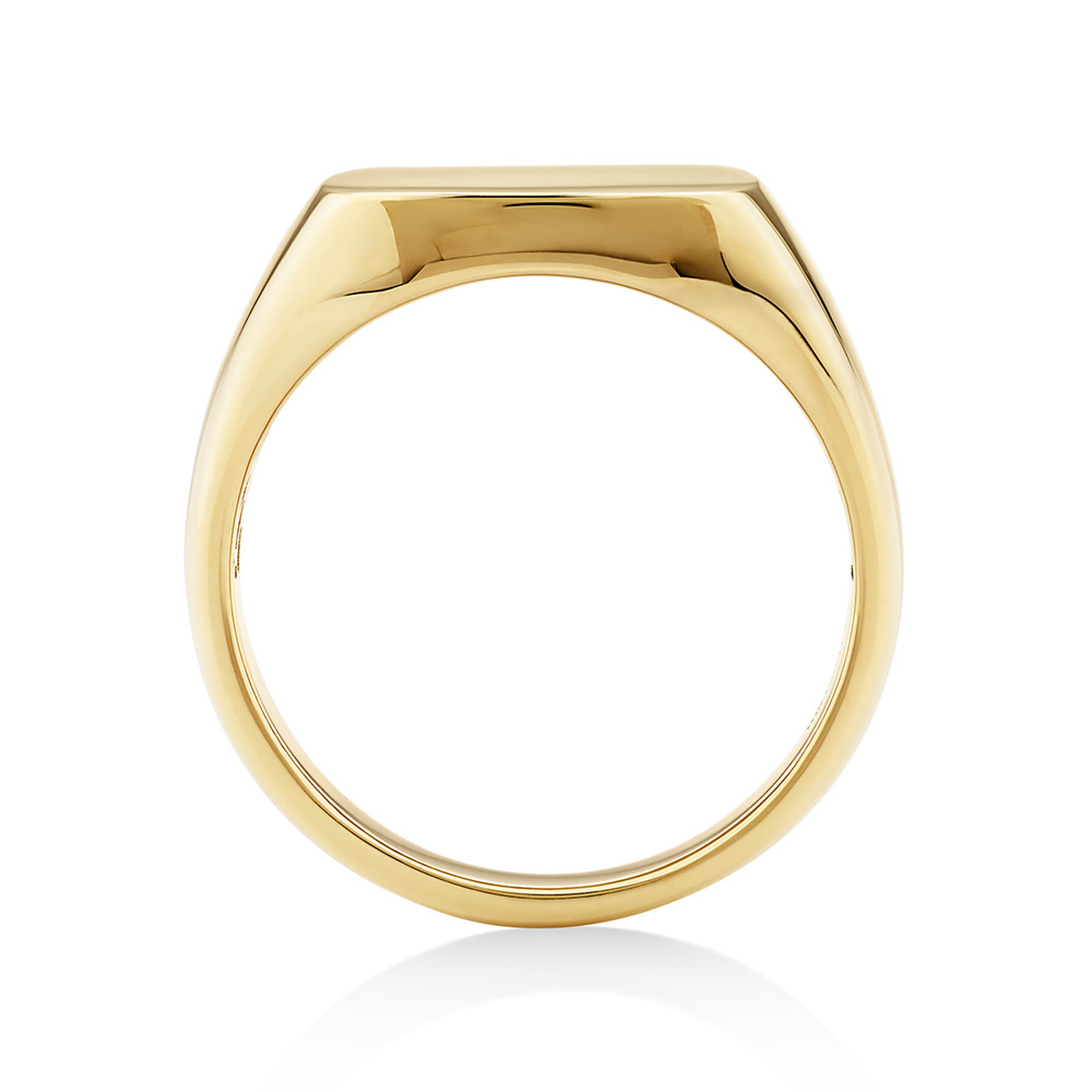 Men's Signet Ring in 10kt Yellow Gold