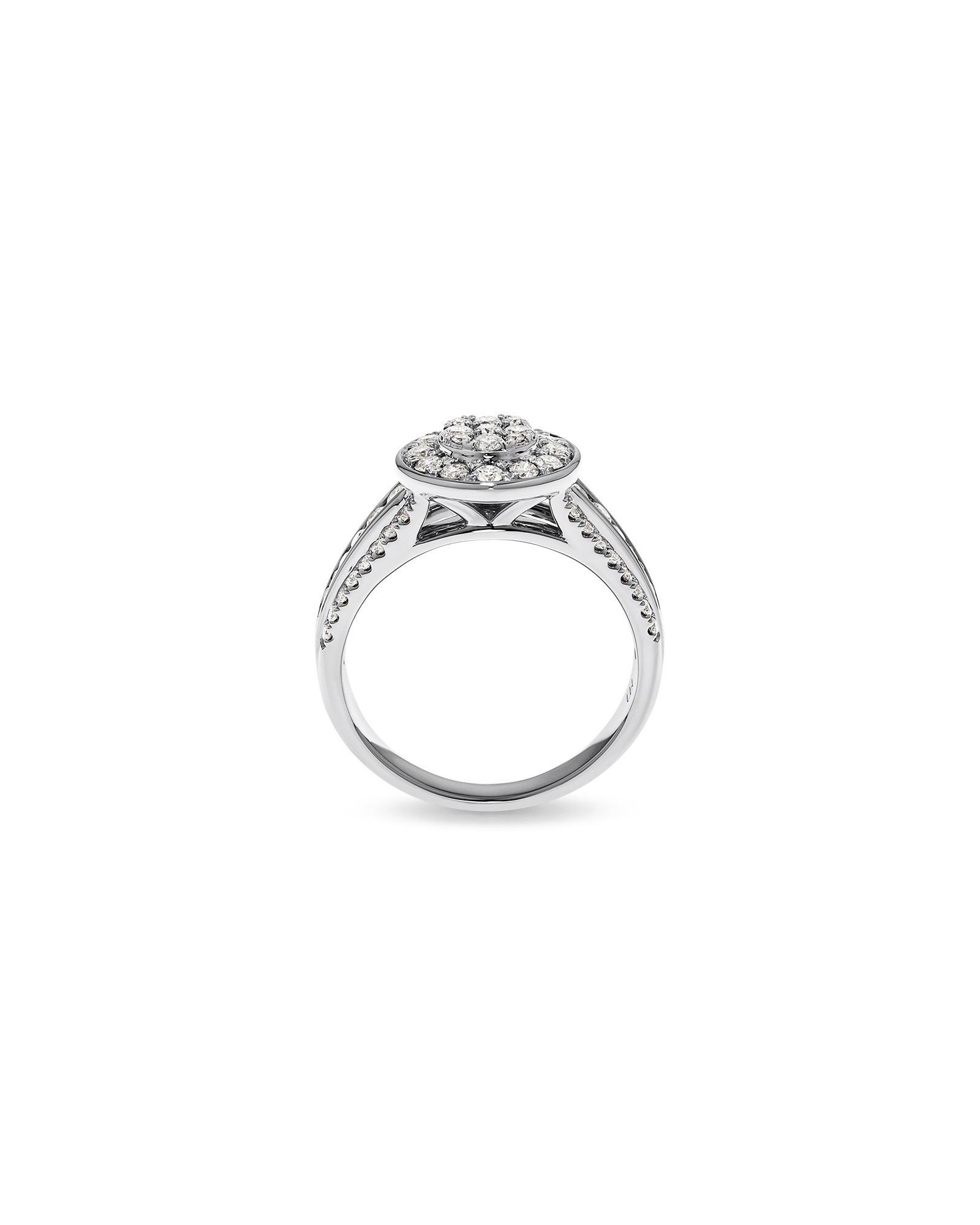 0.85 Carat TW Round Diamond Cluster Ring 10kt Gold