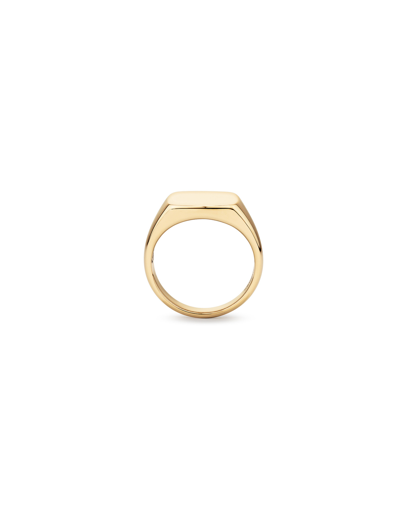 Men's Signet Ring in 10kt Yellow Gold