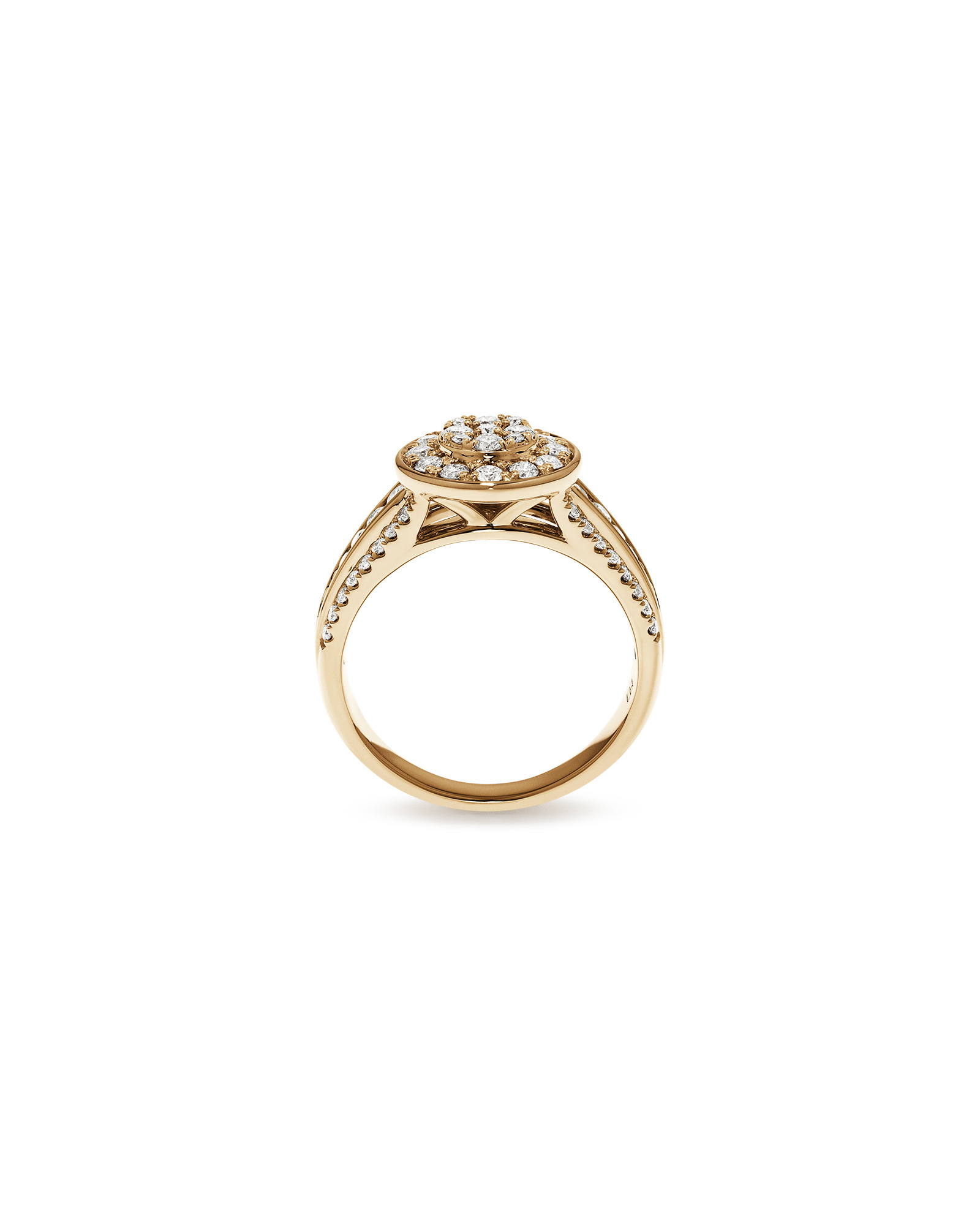 0.85 Carat TW Round Diamond Cluster Ring 10kt Yellow Gold