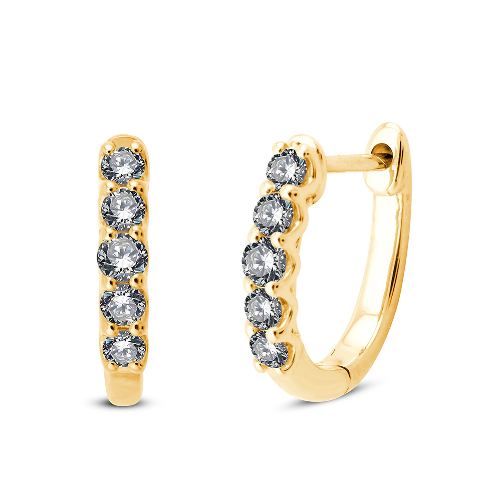Hoop Earrings with 1/3 Carat TW of Diamonds in 10kt Yellow Gold