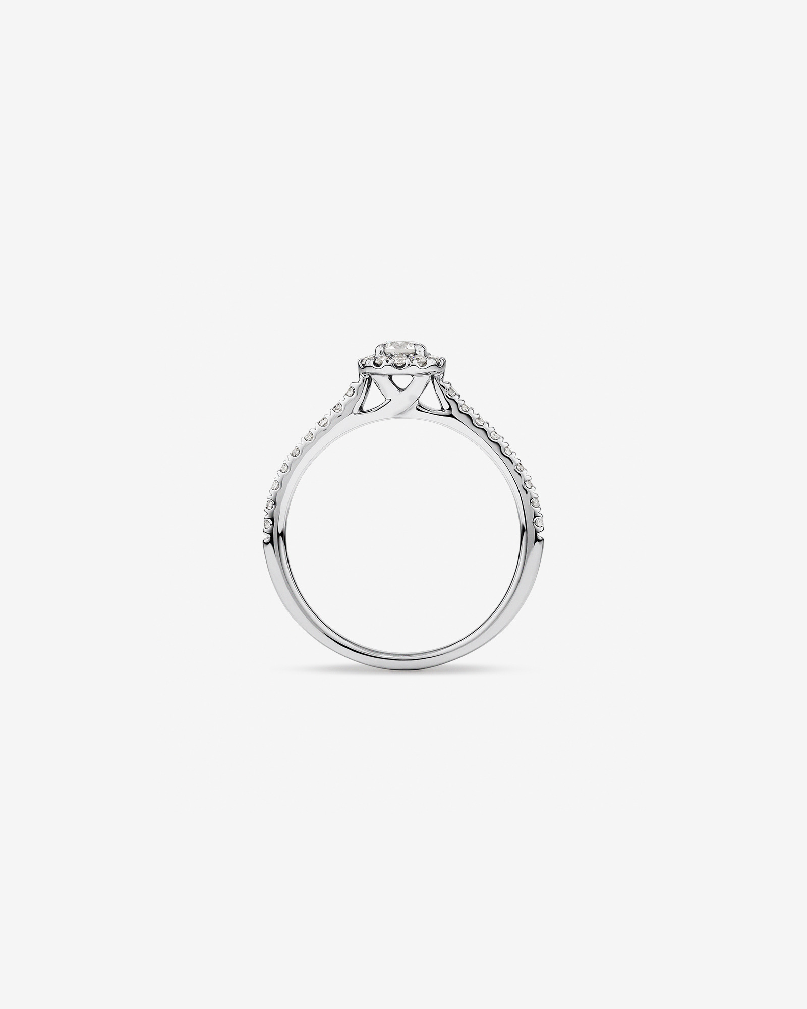 Round Brilliant Halo Ring with 0.50 Carat TW of Diamonds in 14kt White Gold