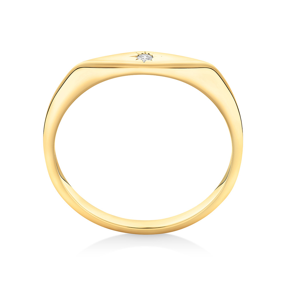 Diamond Star Accent Narrow Signet Ring in 10kt Yellow Gold