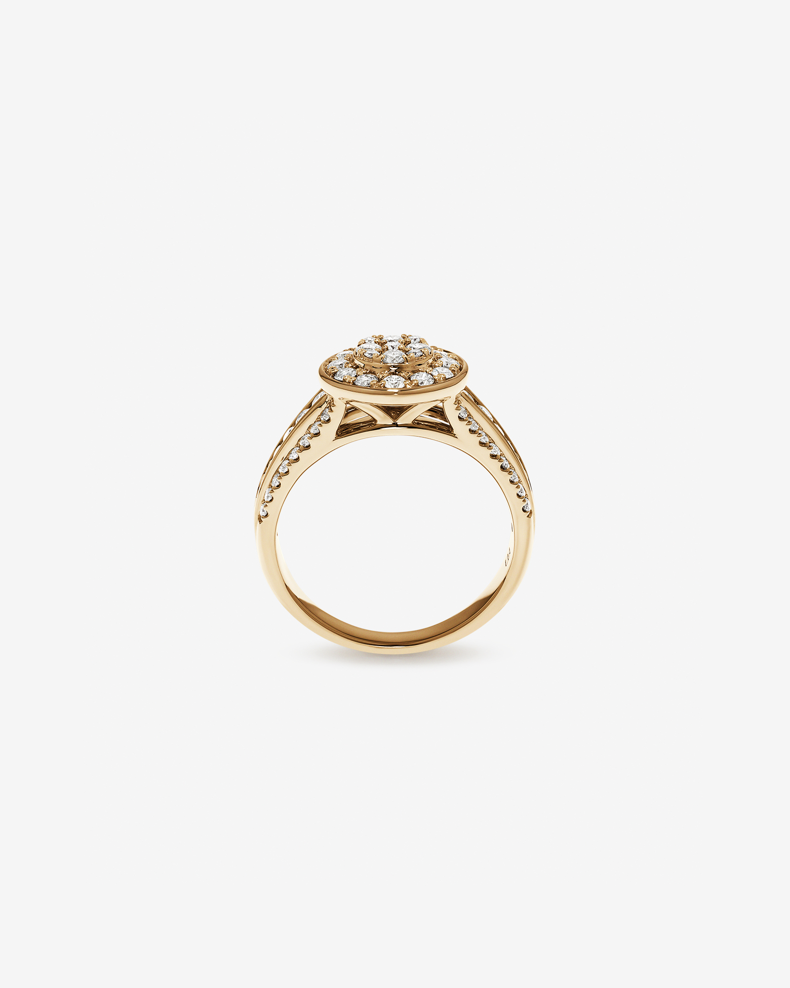 0.85 Carat TW Round Diamond Cluster Ring 10kt Yellow Gold