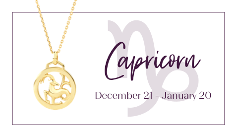 Capricorn Capricorn