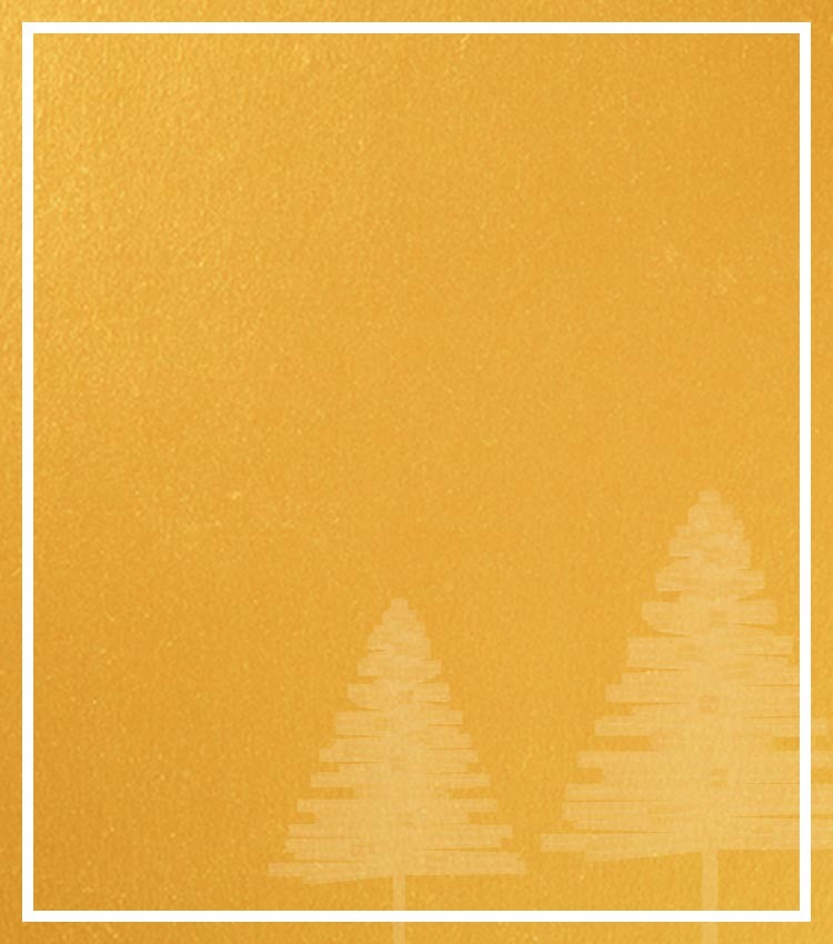 Michael Hill - Holiday Gift Guide