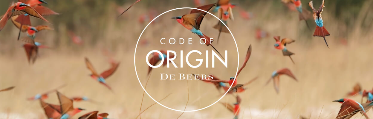code-of-origin