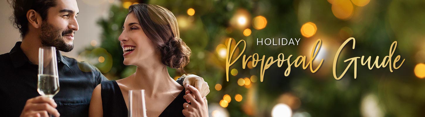 Holiday Proposal Guide