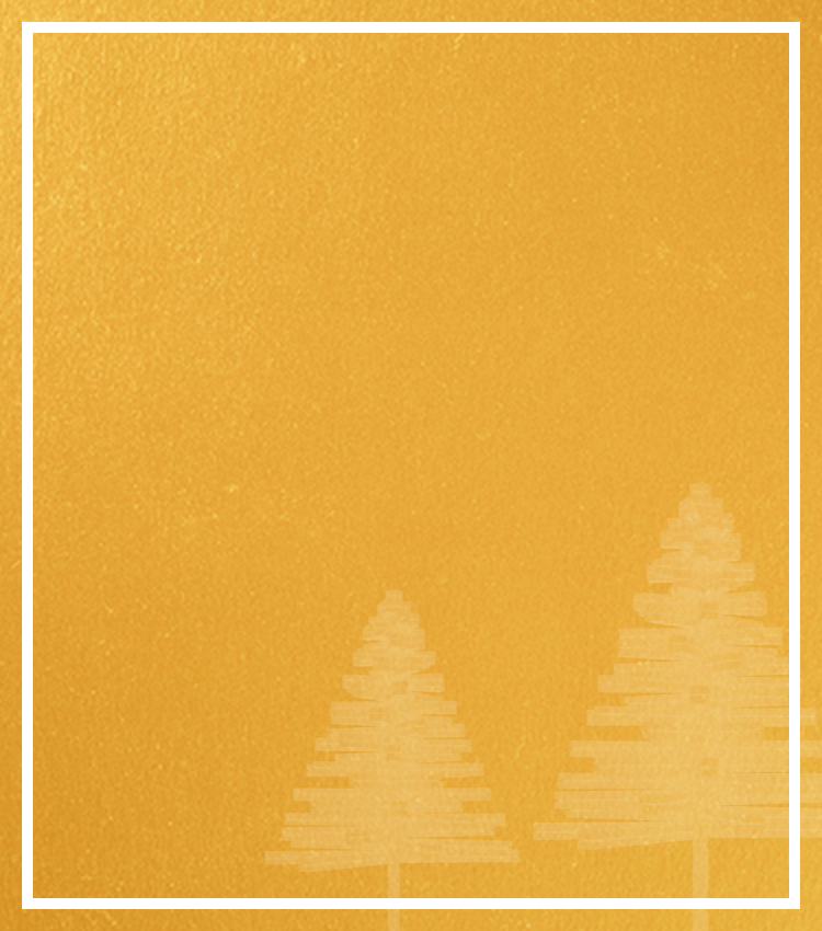 Michael Hill - Holiday Gift Guide